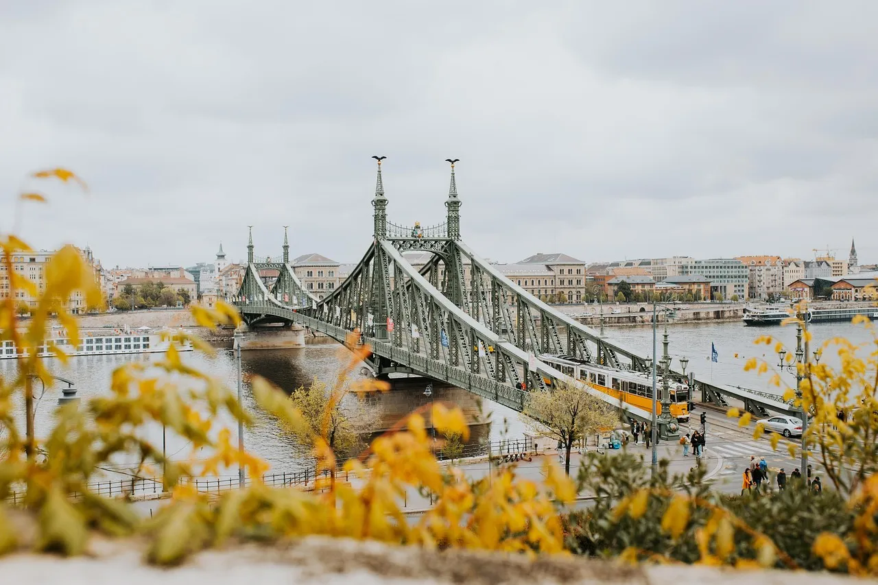 Le pont de la Liberté sur le Danube à Budapest