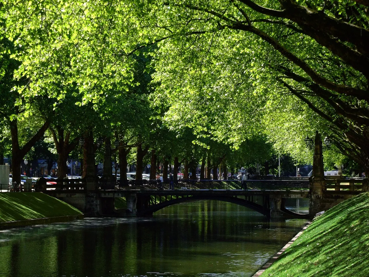 A tree-lined canal with a bridge