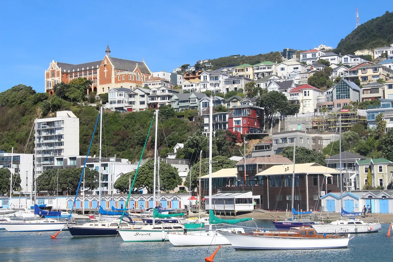 Casas en la ladera sobre el puerto deportivo de Wellington